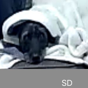 Meet your Posher, Marco